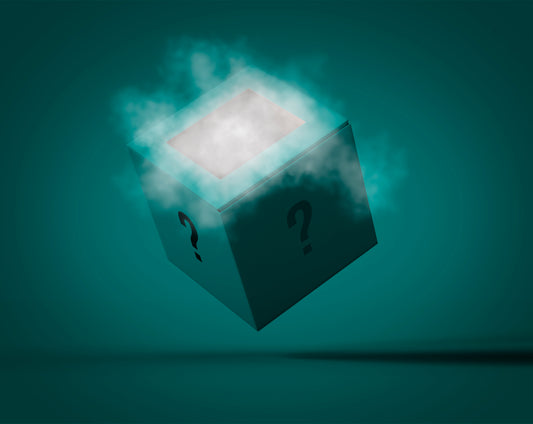 MYSTERY T-SHIRT